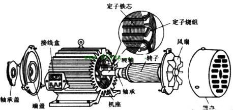 電動機原理與結構圖,三相異步電動機